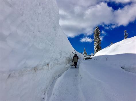 Snow yesterday at Sierra at Tahoe in Northern California... photo from ...