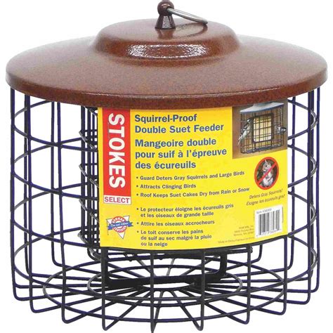 The 8 Best Squirrel-Proof Bird Feeders of 2020