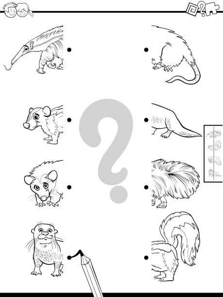 Best Half Animal Illustrations, Royalty-Free Vector Graphics & Clip Art - iStock