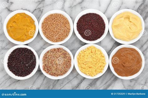 Mustard Types Royalty Free Stock Images - Image: 31735329