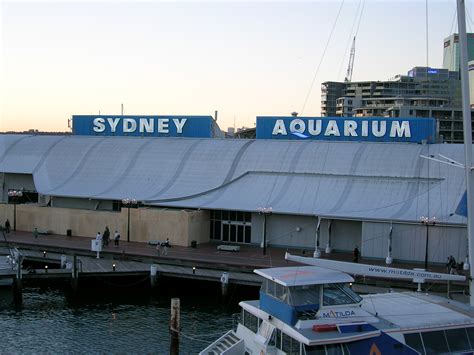 File:Sydney Aquarium.jpg - Wikipedia