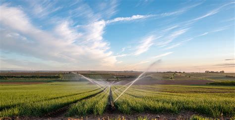 The Four Main Types of Irrigation – TWL Irrigation