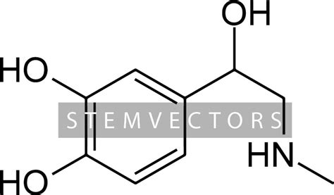 Epinephrine Chemical Structure digital Download Black and White Vector Clip Art Drawing/sketch ...