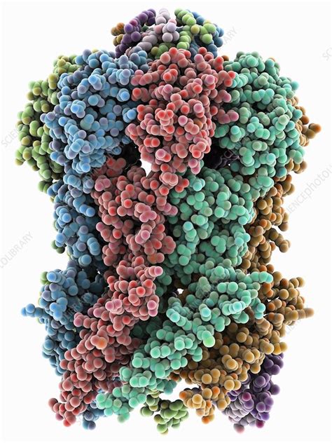 MscS ion channel protein structure - Stock Image - C025/2054 - Science ...