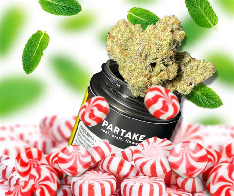 What is Craft Cannabis? – Partake Cannabis