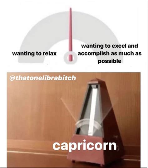 28 Funny and Relatable Capricorn Memes | So Syncd