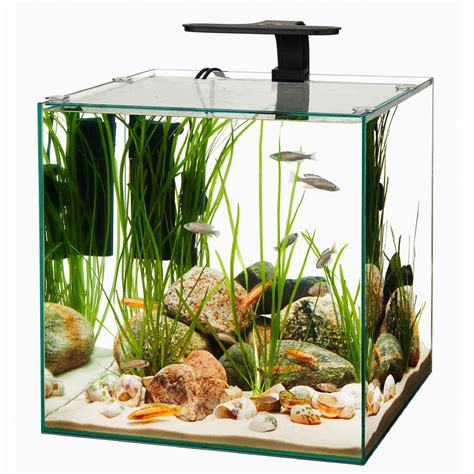 Aqueon Frameless Cube Aquarium, Gallon | ubicaciondepersonas.cdmx.gob.mx