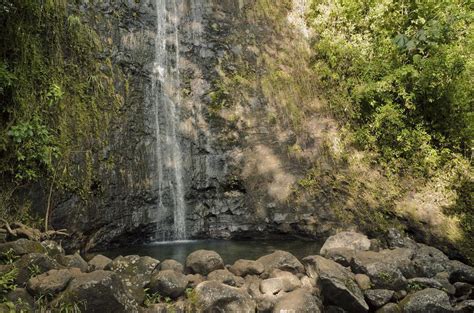 The 10 Best Manoa Falls Tours & Tickets 2021 - Oahu | Viator