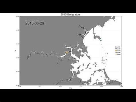 America Shad Migration Map - YouTube