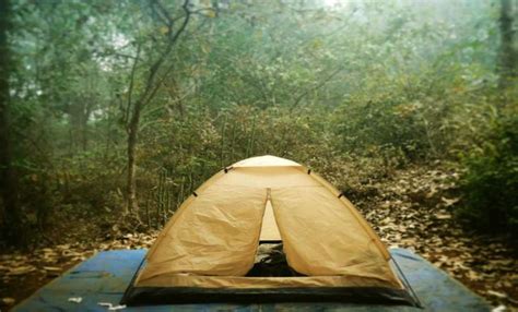 Discover Camping BC