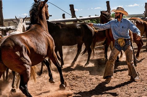 Babbitt Ranch Cowboys Working on Behance