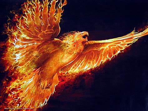 Phoenix illustration, fire, phoenix, birds HD wallpaper | Wallpaper Flare