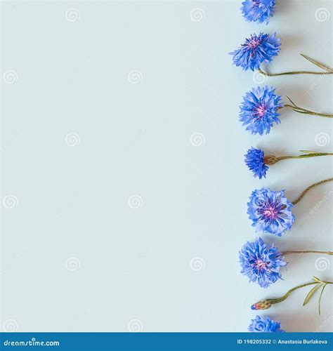 Flower Border of Blue Flowers on a Pastel Blue Background. Top View ...