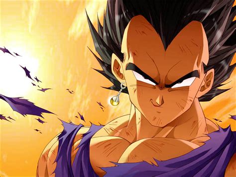 Vegeta - Dragon Ball Z Wallpaper (25544772) - Fanpop