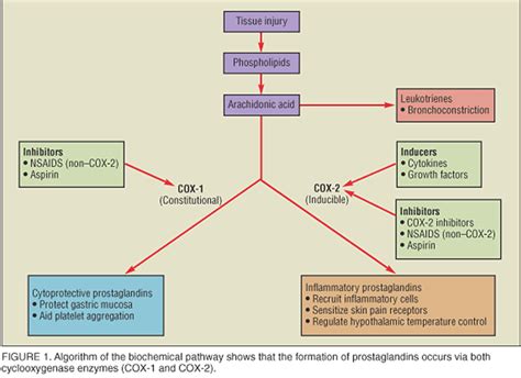 In addition to their effects on prostaglandins, NSAIDs exhibit other properties that have ...