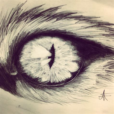 Cats eye pencil drawing