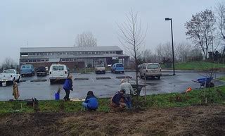 Planting Milkweed to Attract Monarch Butterflies | We plante… | Flickr