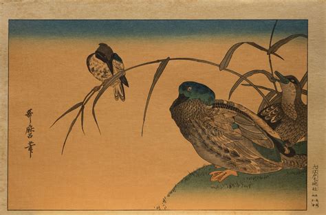 Mokuhankan Collection : Mallard Ducks and Kingfisher