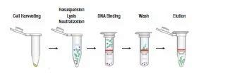 Ultra Pure Plasmid DNA Extraction Kit, DNA Kit, DNA Isolation Kit, DNA Purification Kit, Genomic ...