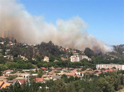 Incendio forestal afecta zona alta de Viña del Mar - Epicentro Chile