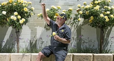 WACA Jack Gets Cricket Ground Ready For Ashes Test - Turf Matters