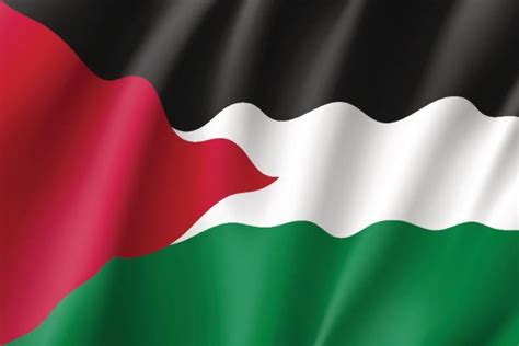 Palestine Flag Vector Illistation Palestine Palestine Flag Palestine ...