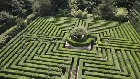 Aerial shot of a hedge maze - Stock Video Footage - Dissolve