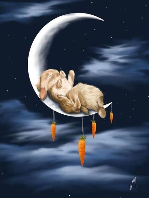 Pin by Poppy on Illustrations | Moon art, Bunny art, Rabbit art