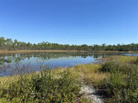 10 Best Hikes and Trails in Croatan National Forest | AllTrails