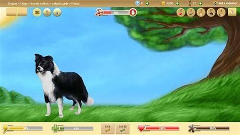 10 Most Addictive Free Dog Games Online — Top Dog Tips