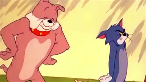 فيلم توم وجيري جودة عالية HD Tom and Jerry - YouTube