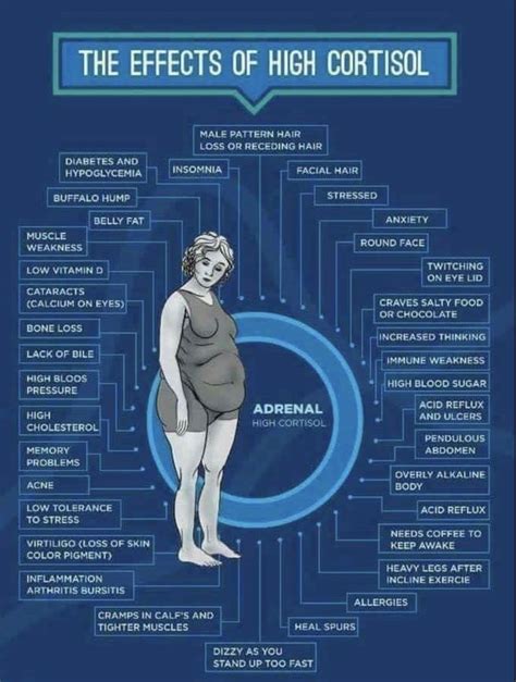 Cortisol Overload Result on Body | Adrenal health, Cortisol, Adrenal fatigue