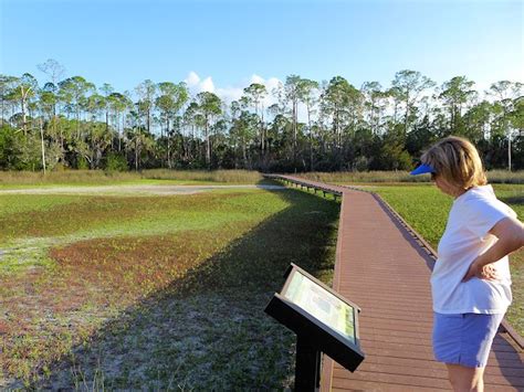 Nature Trails Cedar Key Wildlife Refuge | Scenic Pathways