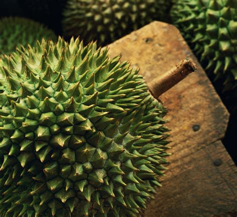 Amazing Benefits of Durian "King of Fruit" for Healthy and Body | Health Benefits of Fruit