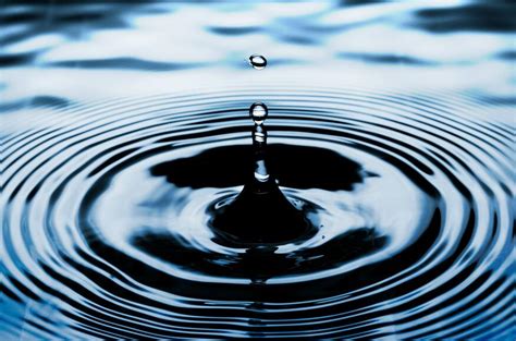 Are You Creating a Positive Ripple Effect? - Risa Kawamoto