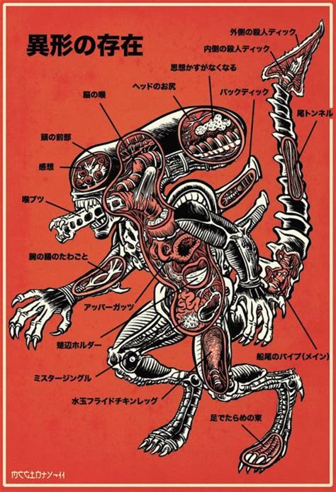 xenomorph anatomy | Monster art, Xenomorph, Movie monsters