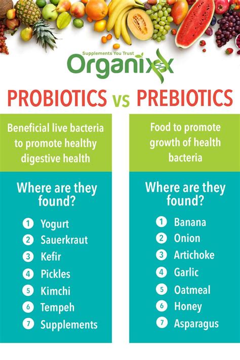 The Best Prebiotic Foods and Why You Need Them | Prebiotic foods, Best prebiotic foods, Diet and ...