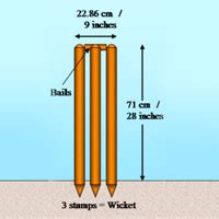 Pallisree Blog | Dimension of Pitch, Stumps and Creases in Cricket