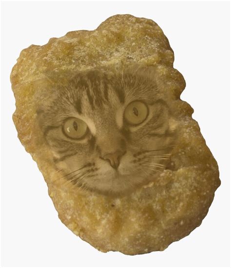 My cat as a chicken nugget : r/chickennuggets