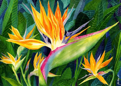 Bird-of-Paradise Painting by Janis Grau - Pixels