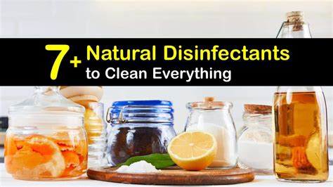 7+ Natural Disinfectants to Clean Everything