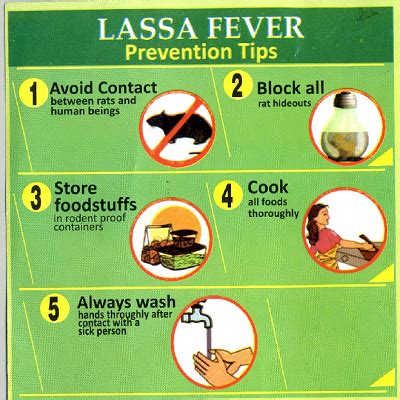 Lassa fever claims one life in FCT – Official | NTA.ng - Breaking News, Nigeria, Africa, Worldwide