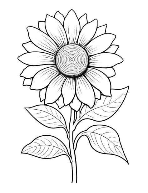 75 Flower Coloring Pages: Free Printable Sheets | Sunflower coloring ...