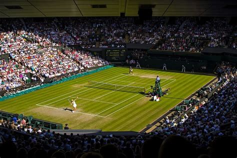 Wimbledon Slaps Warning as Rules Tightened After Players Rant Over Bizarre Alcohol Interruptions ...