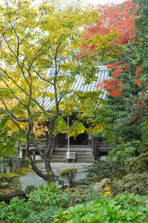 新善光寺HP-令和5年新善光寺展