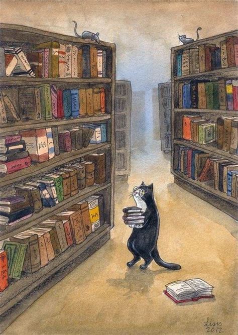 Cat library : r/bookshelf