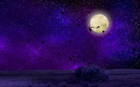 Purple Moonlight Wallpapers - Top Free Purple Moonlight Backgrounds - WallpaperAccess