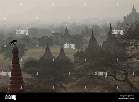 Sunrise view of Bagan temples, Myanmar Stock Photo - Alamy