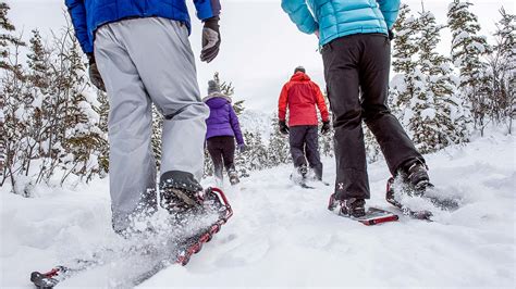 Things To Do: Snowshoeing | Travel Yukon - Yukon, Canada | Official ...