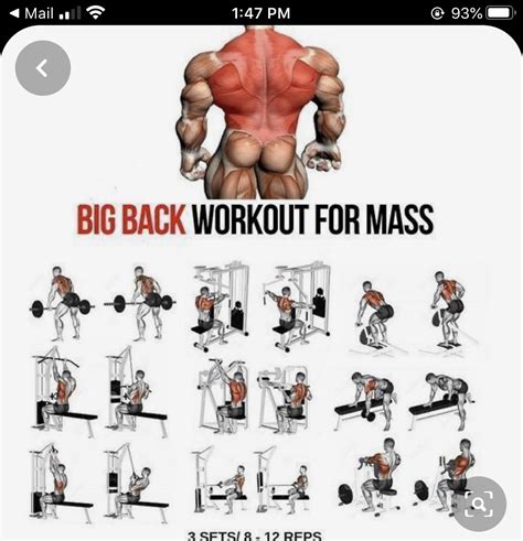 Pin by David Mapinda on Back | Back workout for mass, Gym workouts, Back workout bodybuilding